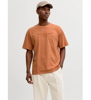 Jack&Jones JPRBLUAIDEN SS TEE Pudra Erkek T-Shirt 12293014