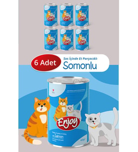 Enjoy Somonlu Kedi Konservesi Sos İçinde Et Parçacıklı 400 Gr x6