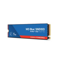 1 Tb Sn5100 Pci-4.0 7100Mb/S 6700Mb/S M2 Ssd Wds100T5B0E