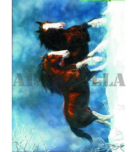 Artebella 1374K Büyük Kolay Transfer 23x34 cm 