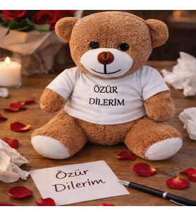 Özür Dilerim Tişörtlü Oyuncak Ayıcık