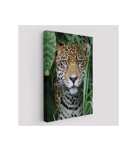 Leopar Dekoratif Kanvas Tablo-5960