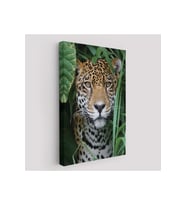 Leopar Dekoratif Kanvas Tablo-5960