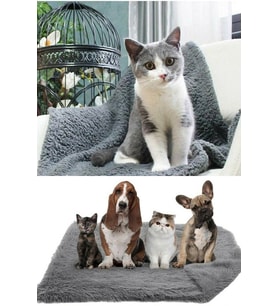 Yumuşak Peluş Kedi Köpek Yatağı ve Battaniye 60x90 cm