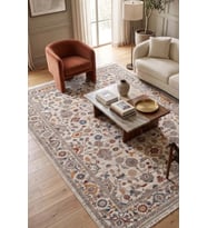 Hoom Rugs Otantik 2601 Renkli Vintage Desenli Salon Halısı