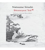 Bitmeyen Yol