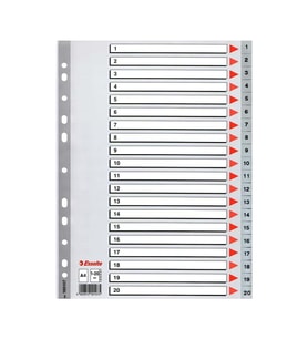 ESSELTE 100107 PLASTİK AYRAÇ A4 1-20 RAKAM