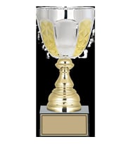 ODAK KUPA - X Large Kupalar - XL-049 C - 26 cm