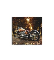 DBSanatevi Ormanda Motosiklet Tablo 50 X 50 Cm