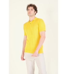 Giyim Dünyası Erkek Çizgili Polo Yaka Merserize T-Shirt Sarı