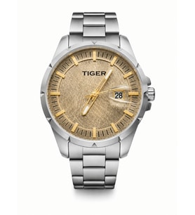 TI-03225RFFS TIGER ÇELİK ERKEK SAATİ