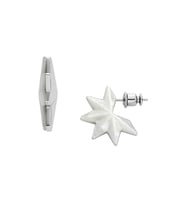 Skagen SKJ1777-040 Yıldız Kadın Küpe (Çok Renkli)