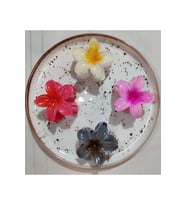 Rengarenk Lotus Çiçeği Mandal Toka 4'lü 8 CM (Renksiz)