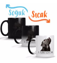Labrador Black Pug Köpek Sihirli Kupa Bardak Porselen