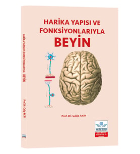 Harika Yapısı ve Fonksiyonlarıyla BEYİN