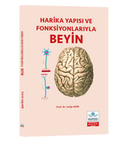 Harika Yapısı ve Fonksiyonlarıyla BEYİN
