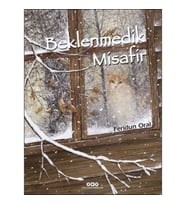 Beklenmedik Misafir