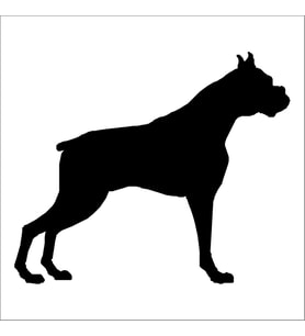 KÖPEK FOLYO STİCKER 30cm Uzunluk (Karışık)