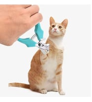 Yaylı Kedi Ve Küçük Irk Köpek Tırnak Makası