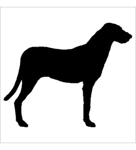 KÖPEK FOLYO STİCKER 80cm Uzunluk (Karışık)