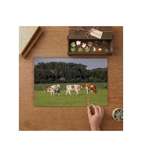 Çiftlik hayvanları ve doğa manzarası. Tasarımı 240 parça Ahşap Puzzle Ahşap Kutuda MP08009
