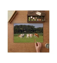 Çiftlik hayvanları ve doğa manzarası. Tasarımı 240 parça Ahşap Puzzle Ahşap Kutuda MP08009
