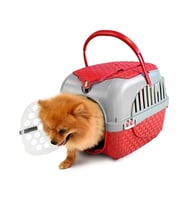 Bama Kedi ve Köpekler İçin Transporter Bordeaux Bordo Renk 59x38x37 cm