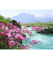 Nehir Sayılarla Boyama Seti 40x50 cm (Tuvale Gerili)