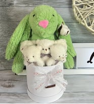 Solemia Özel Kutuda, Yeşil Tavşan, 5 Beyaz Ayıcık – Pamuk Çiçeği Dokunuşlu, Özel Ayıcık Buketi (Yeşil-Beyaz)