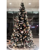 Yılbaşı Çam Ağacı 3 Metre 1750 DAL (Yeşil)