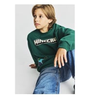 Defacto Minecraft İçi Yumuşak Tüylü Yeşil Erkek Çocuk Sweatshirt I3062A8/GN651