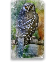 Lexroo Art Note Voyage, Çizgisiz Seyahat Not Defteri, Karton Kapak, 12x21 cm Dikey, 128 sayfa