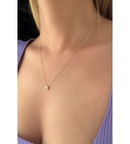 14 Ayar Altın N Harfli Kolye (Rose)