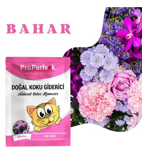 Pro Perfeck Bahar Kokulu Koku Giderici 25 gr