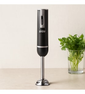 Northcity 300W Çubuk Blender - Çelik Uçlu, 2 Hızlı Ayrılabilir Gövde