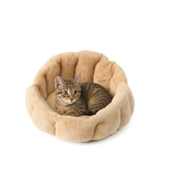 Peluş Evcil Hayvan Yatağı Wellsoft Kumaş Kedi ve Köpek için Rahat Yatak (Camel)