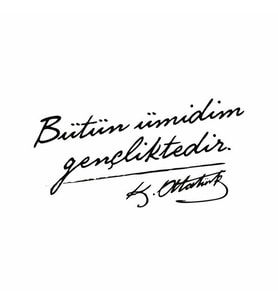 Bütün Ümidim Gençliktedir Araba Sticker siyah 15x8 CM (Siyah-Siyah)