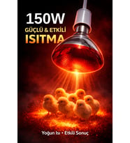 150W Isıtıcı Ampul Kırmızı Isı Lambası Civciv Kümes Kuluçka E27 Duy Isıtma Ampulü