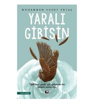 Yaralı Gibisin