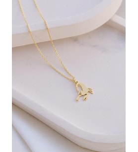Kişiye Özel 925 Ayar Gümüş Minimalist Akrep Model Kolye (Gold)