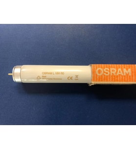 Osram L 18W/60 18 Watt G13 Duy Kırmızı Renk T8 Floresan Ampul = 7 ADET