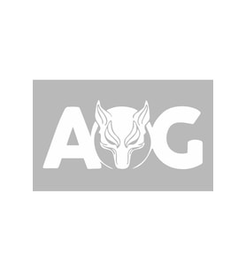 Aog Sticker Beyaz 15*6,5 Cm