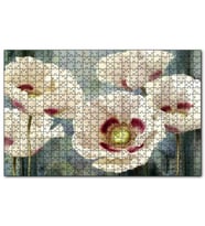 Cakapuzzle Kırmızı Beyaz Kasımpatı Çiçekleri Puzzle Yapboz MDF (Ahşap) (120 Parça)