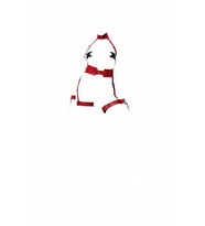 Mulvxbrf Brf02 Kırmızı Harness Takım Deri Yüksek Yaka Toka Detaylı - Brf1338 (Mulvix)