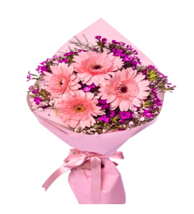 PEMBE FİYONK GERBERA HÜSNÜYUSUF