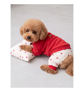 Tatlı Çilek Köpek Rüyası Pamuklu Çilekli Köpek Tulumu, Kırmızı Sweatshirt ve Mini Yastık 3 Parça