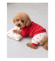 Tatlı Çilek Köpek Rüyası Pamuklu Çilekli Köpek Tulumu, Kırmızı Sweatshirt ve Mini Yastık 3 Parça