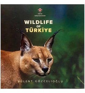 Wıldlıfe Of Türkiye
