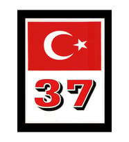 Türkiye Bayraklı Kastamonu 37 Plaka Kodu Ön Cam Sticker