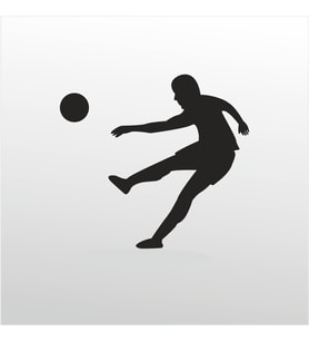 Folyo Sticker Futbol ADKPQUY504 80cm Uzunluk (Karışık)